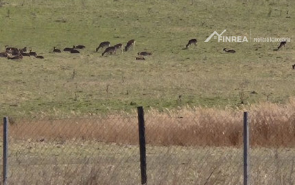 FINREA │ Výnimočný pozemok 106 000 m² v obci Abrámová