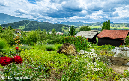 FINREA│Záhradka pre aktívnych pestovateľov ZO Lieskovec