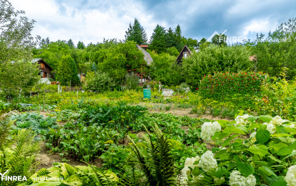 FINREA│Záhradka pre aktívnych pestovateľov ZO Lieskovec