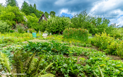 FINREA│Záhradka pre aktívnych pestovateľov ZO Lieskovec