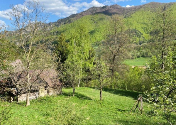 FINREA│Na predaj pozemok 1336 m² s chatou (43 m²) v krásnom prostredí obce Belá pri Žiline