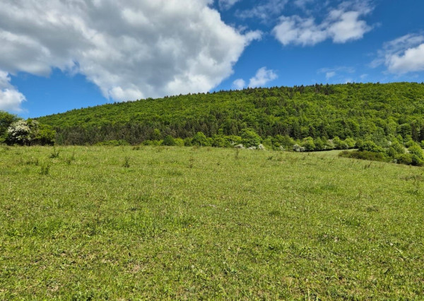 FINREA│Slnečný investičný pozemok (1009 m²) s výhľadom – Konské pri Martine