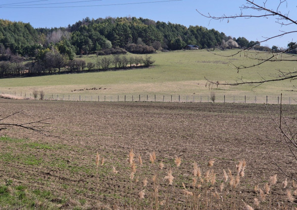 FINREA │ Výnimočný pozemok 106 000 m² v obci Abrámová