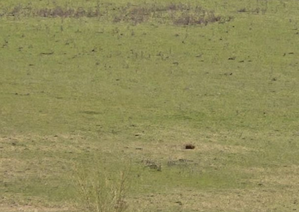 FINREA │ Výnimočný pozemok 106 000 m² v obci Abrámová