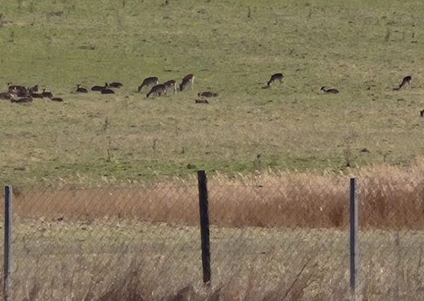 FINREA │ Výnimočný pozemok 106 000 m² v obci Abrámová