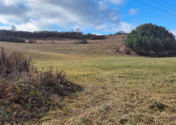 FINREA│ Slnečný pozemok pri obci Sklabiňa, 6769m2