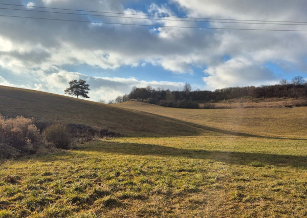 FINREA│ Slnečný pozemok pri obci Sklabiňa, 6769m2