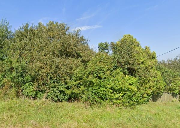 FINREA│ Starší rodinný dom s rozľahlým pozemkom, Široké, okr. Prešov