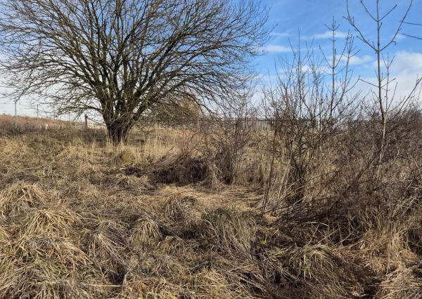 FINREA│ Starší rodinný dom s rozľahlým pozemkom, Široké, okr. Prešov