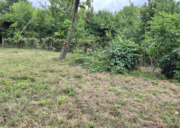 FINREA│ Perspektívny stavebný pozemok 1040 m² vo Vyhniach